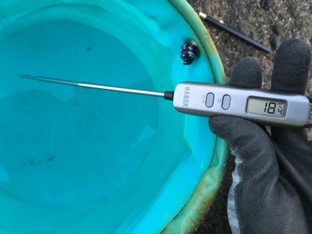 エソしかいません